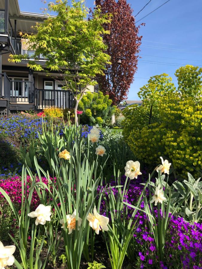 Lovely J Home -Stunning River View Cozy Two Bedroom Private Suite New Westminster Eksteriør bilde